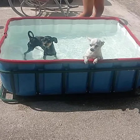 Le3sirene Appartement Brentino Belluno